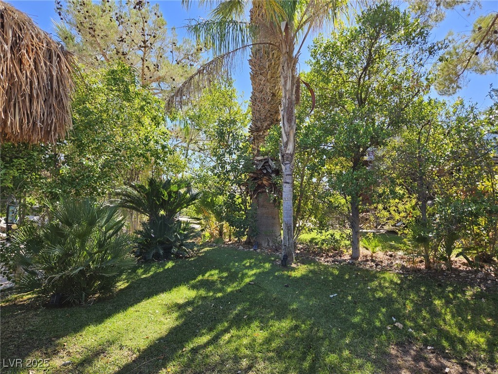 8175 Arville Street 269 Las Vegas NV 89139