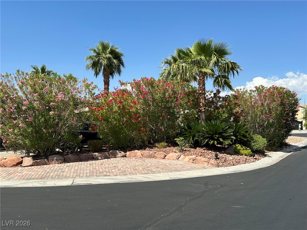 8175 Arville Street 398 Las Vegas NV 89139