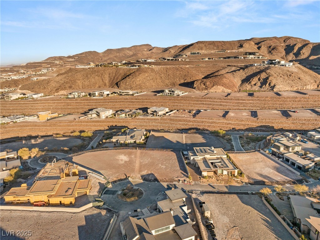 20 Sanctuary Peak Court Henderson NV 89012