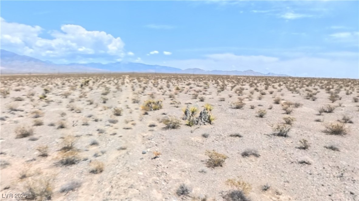 2191 East Nicholas Drive Pahrump NV 89060