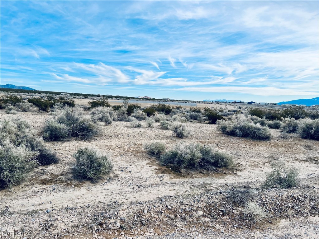 1051 East Langley Place Pahrump NV 89060