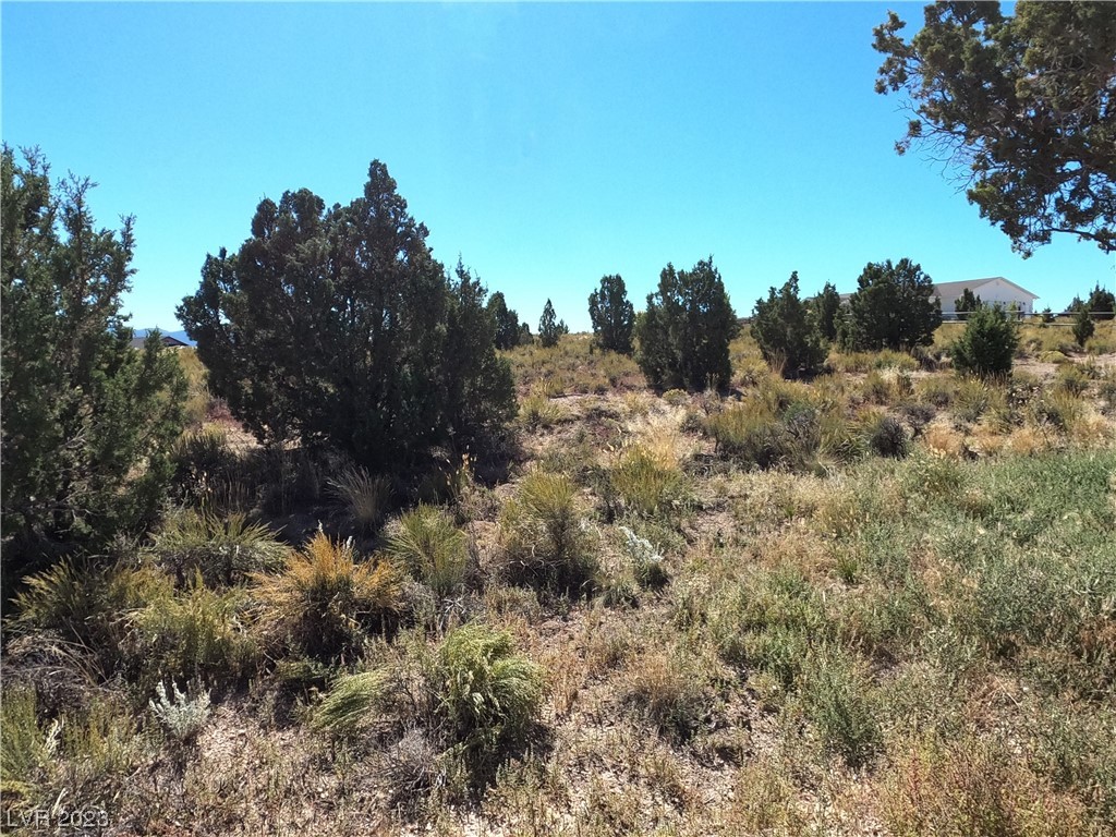P-c10 Mineral Drive Ely NV 89301