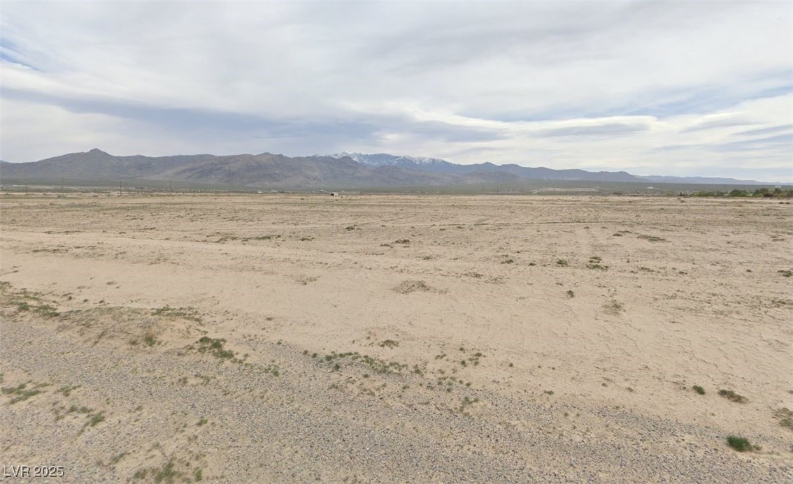 4181 South Flaxon Place Pahrump NV 89048