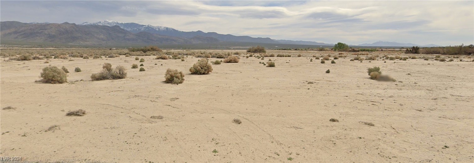 4161 South Dice Avenue Pahrump NV 89048