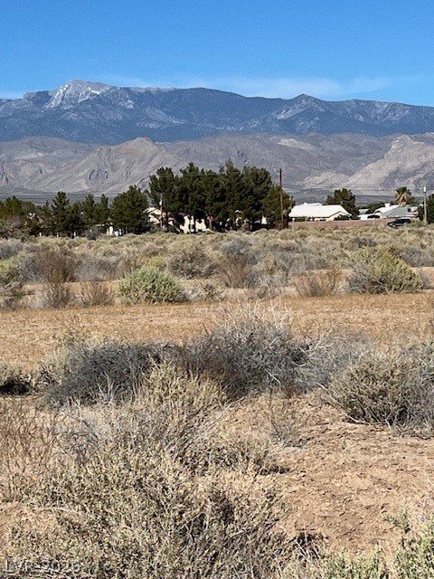 2460 South Old West Avenue Pahrump NV 89048