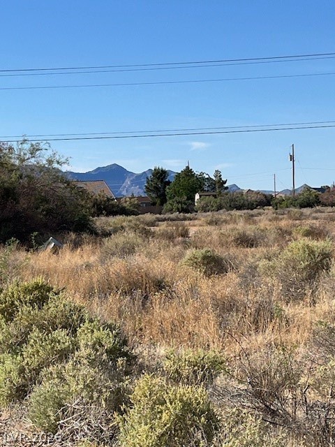 2460 South Old West Avenue Pahrump NV 89048
