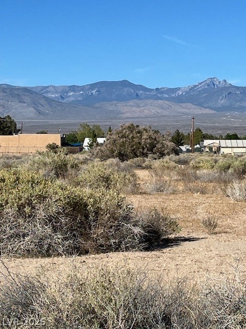 2460 South Old West Avenue Pahrump NV 89048