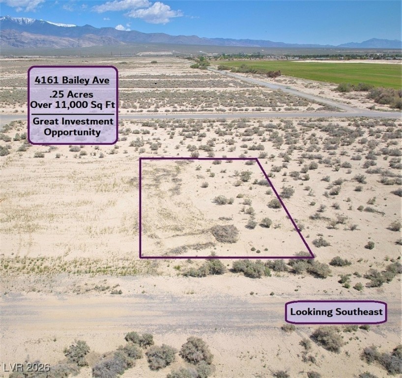 4161 South Bailey Avenue Pahrump NV 89048