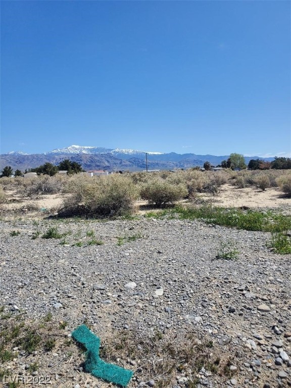 3721 South Homestead Road Pahrump NV 89048