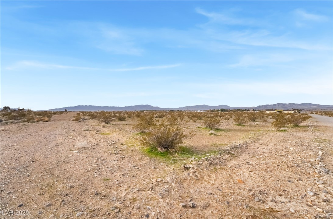 2911 North Morales Lane Pahrump NV 89060