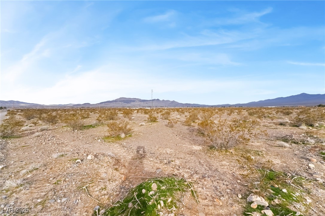 2911 North Morales Lane Pahrump NV 89060