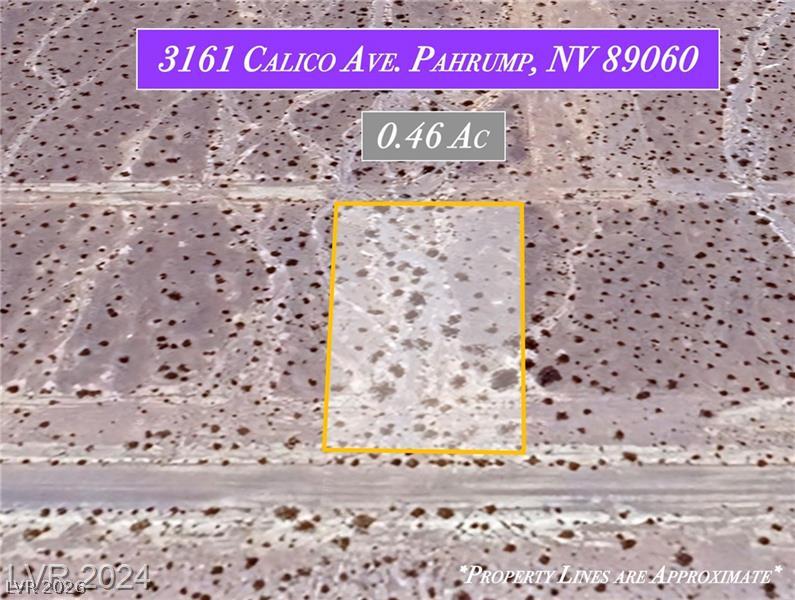 3161 North Calico Avenue Pahrump NV 89060