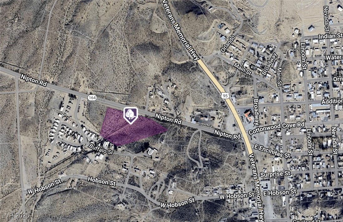 1 State Route 164 Searchlight NV 89046