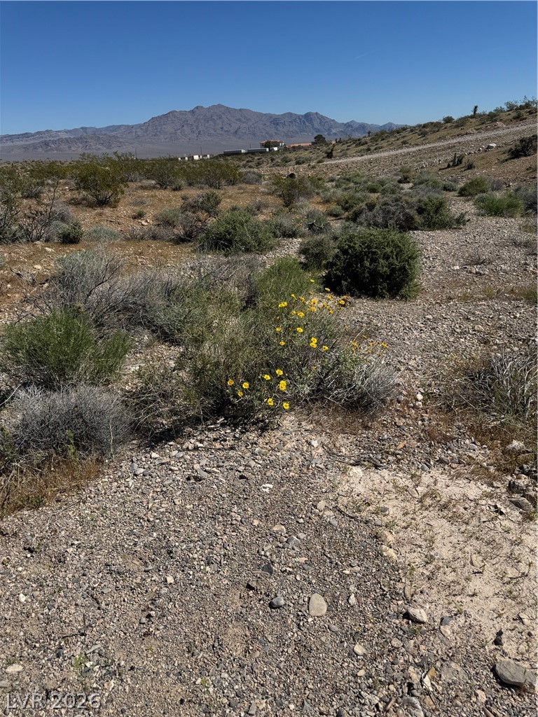 Maggie Apn#126-10-501-009 Las Vegas NV 89166