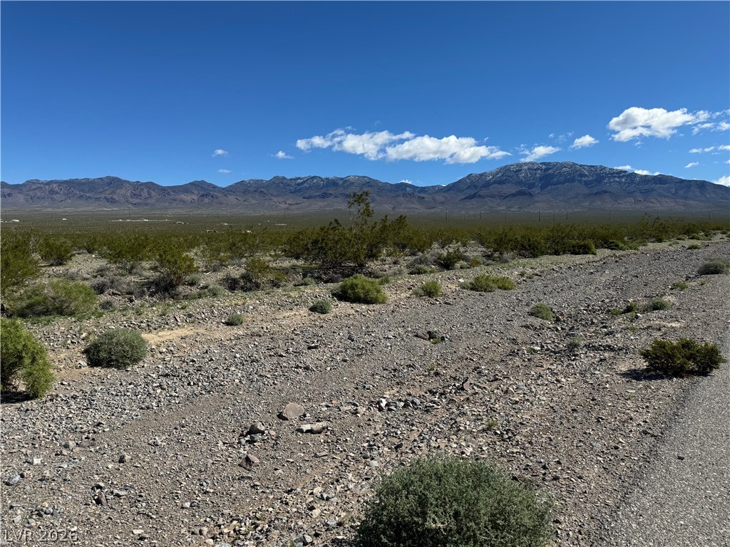 1370 Panorama Road Pahrump NV 89060
