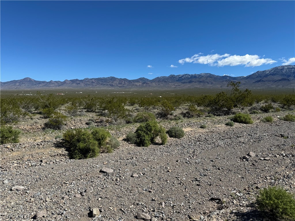 1370 Panorama Road Pahrump NV 89060