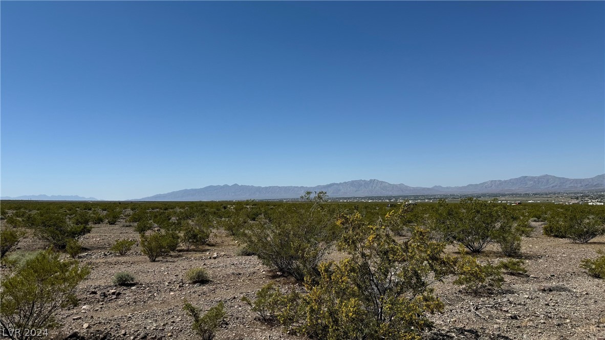 2381 Latigo Drive Pahrump NV 89060