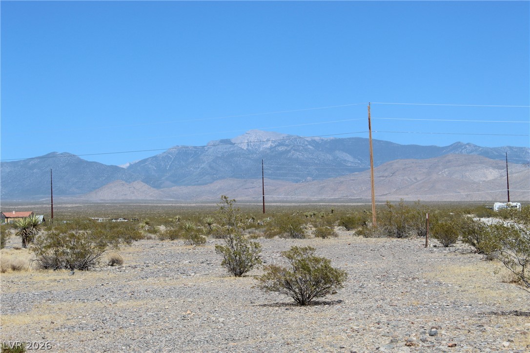 2401 East Lynn Way Pahrump NV 89060