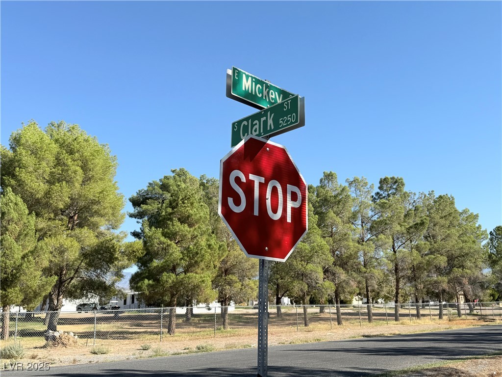 1230 East Mickey Street Pahrump NV 89048