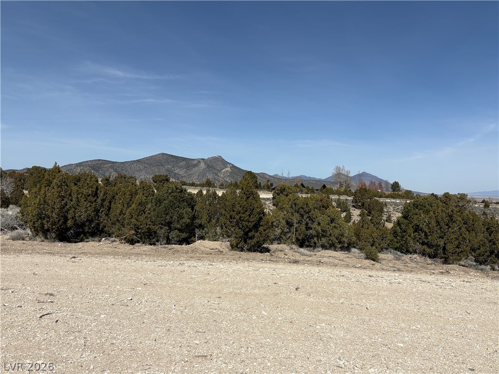 693 West Pinyon Pine Lane Ely NV 89301
