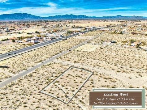 2381 South Crow Lane Pahrump NV 89048