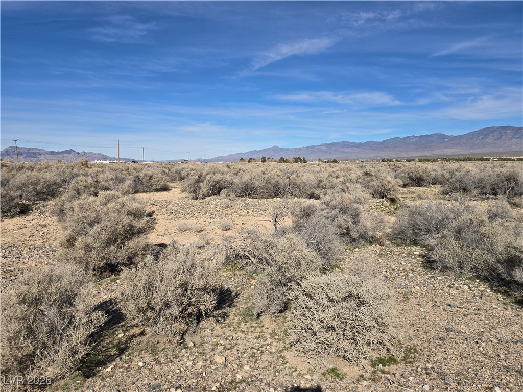 1200 Gorgono Drive Pahrump NV 89060