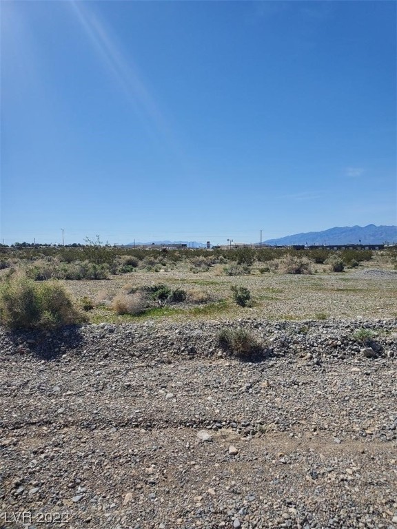 1721 West Basin Avenue Pahrump NV 89060