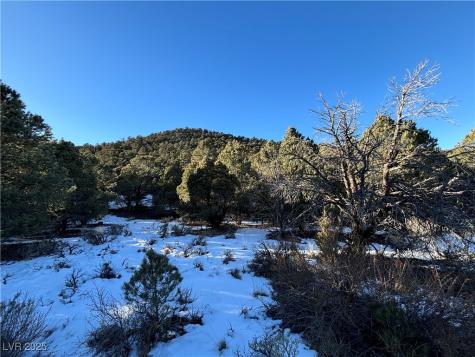 P-18 Butte Valley Ely NV 89301