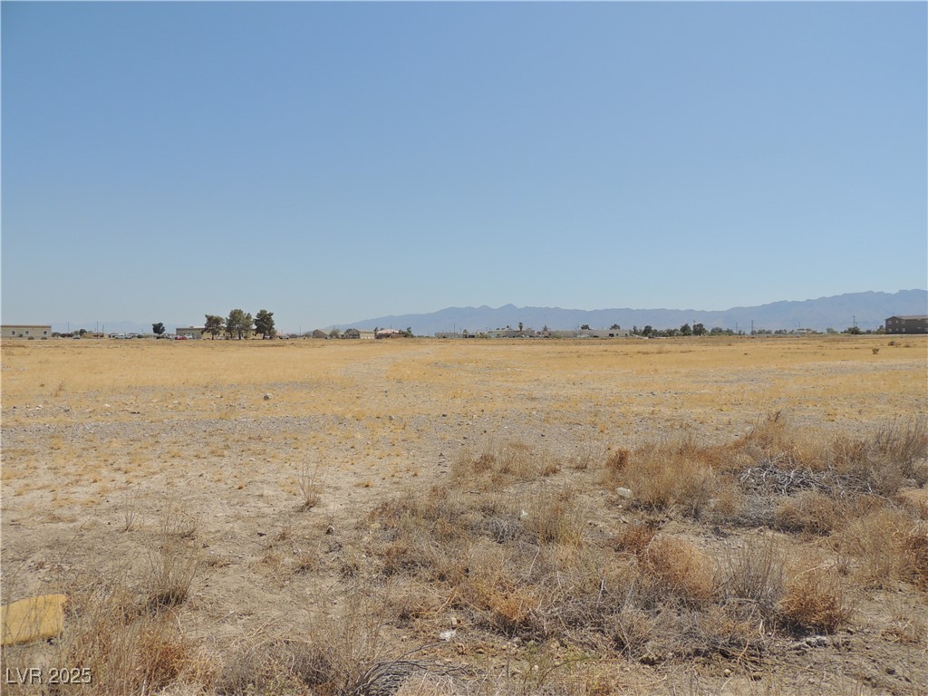 1981 East Ironhorse Street Pahrump NV 89048