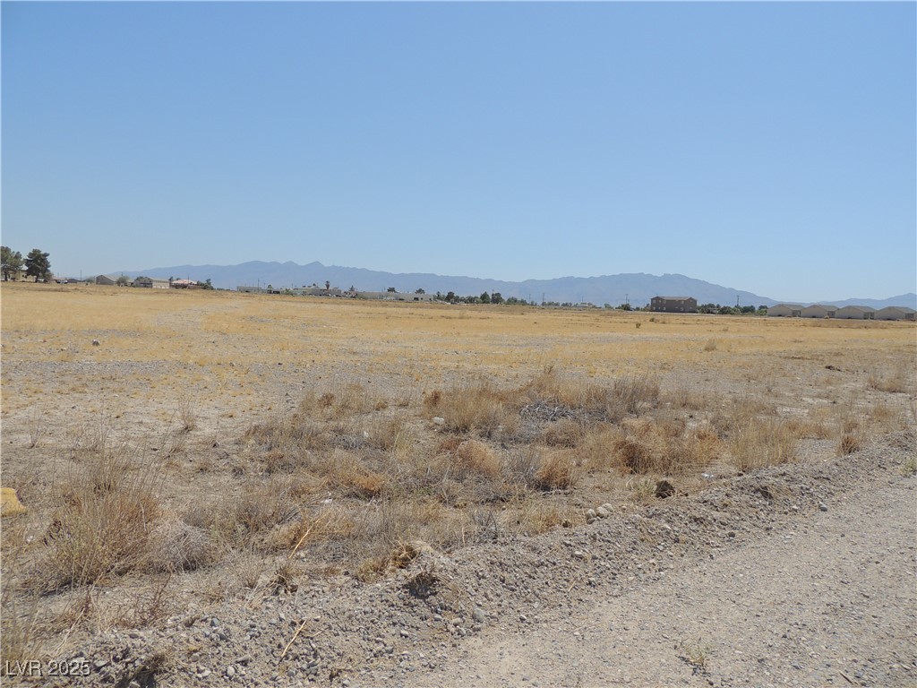 1981 East Ironhorse Street Pahrump NV 89048