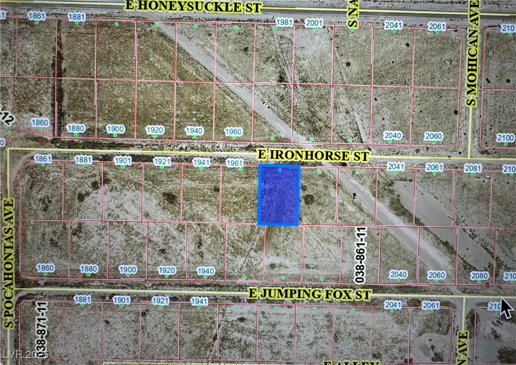 1981 East Ironhorse Street Pahrump NV 89048