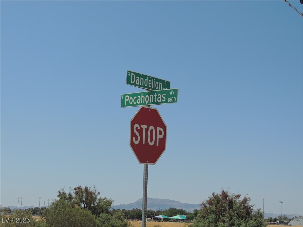 1981 East Ironhorse Street Pahrump NV 89048