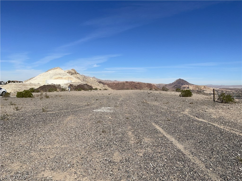 1003 Feather Point Court Henderson NV 89011