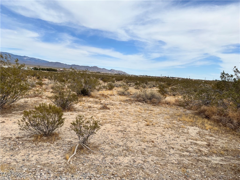 3221 North Chestnut Place Pahrump NV 89060