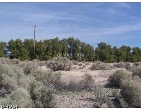 1661 East Antelope Street Pahrump NV 89048