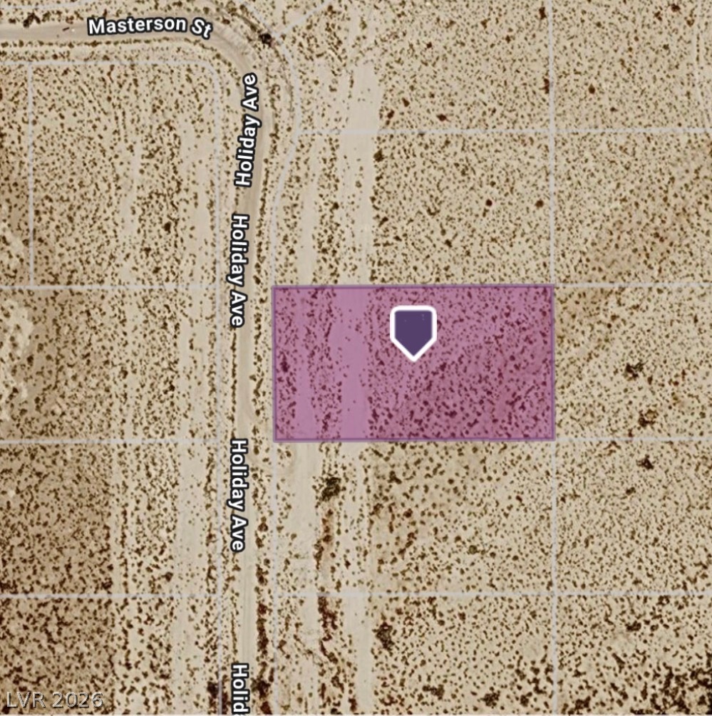 3891 South Holliday Avenue Pahrump NV 89048