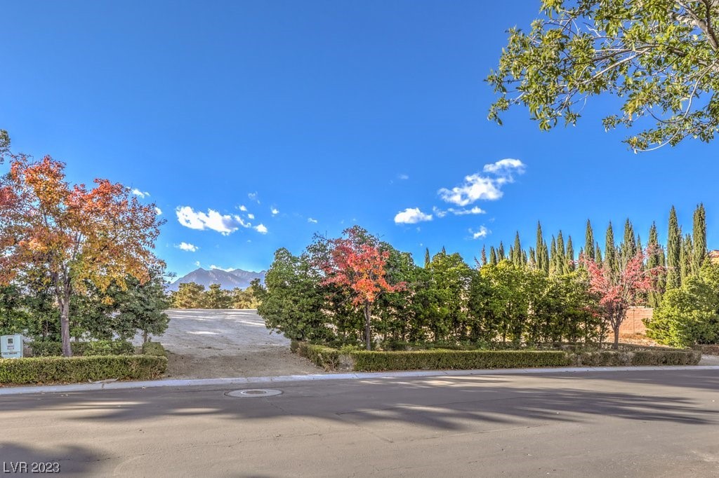 1709 Enclave Court Las Vegas NV 89134