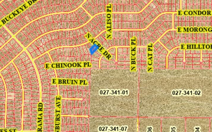 4580 North Acre Drive Pahrump NV 89060