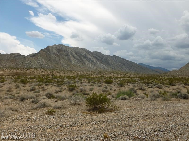 Reymore Las Vegas NV 89166
