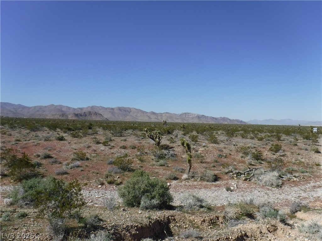 Reymore Las Vegas NV 89166