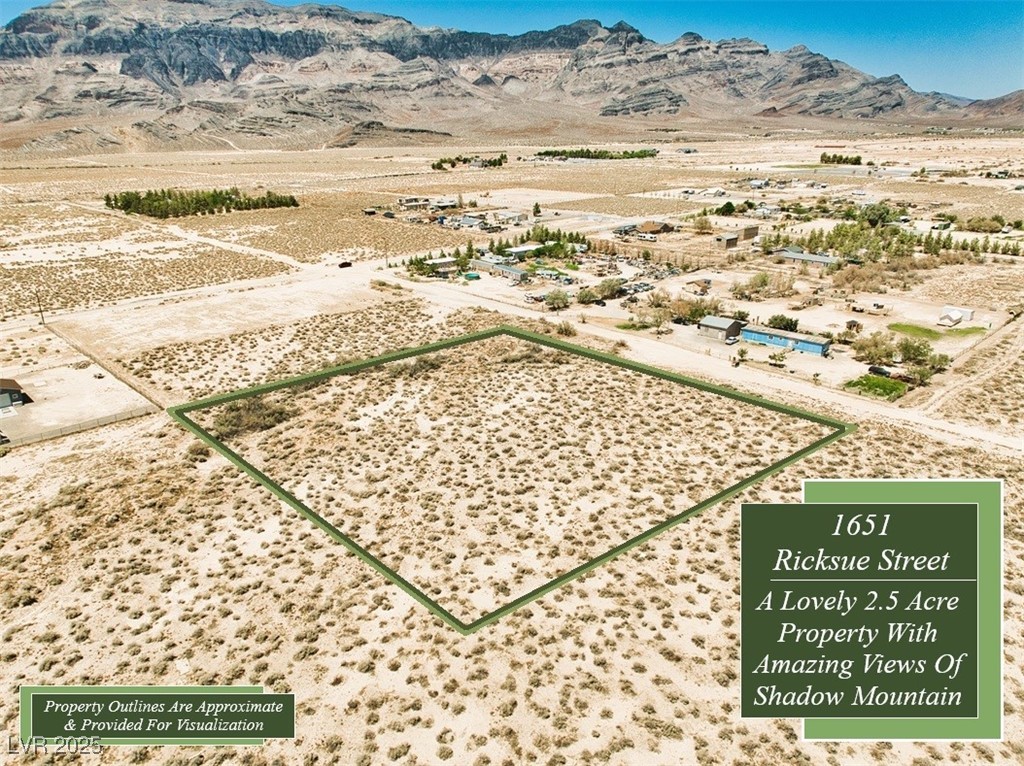 1651 Ricksue Street Pahrump NV 89060