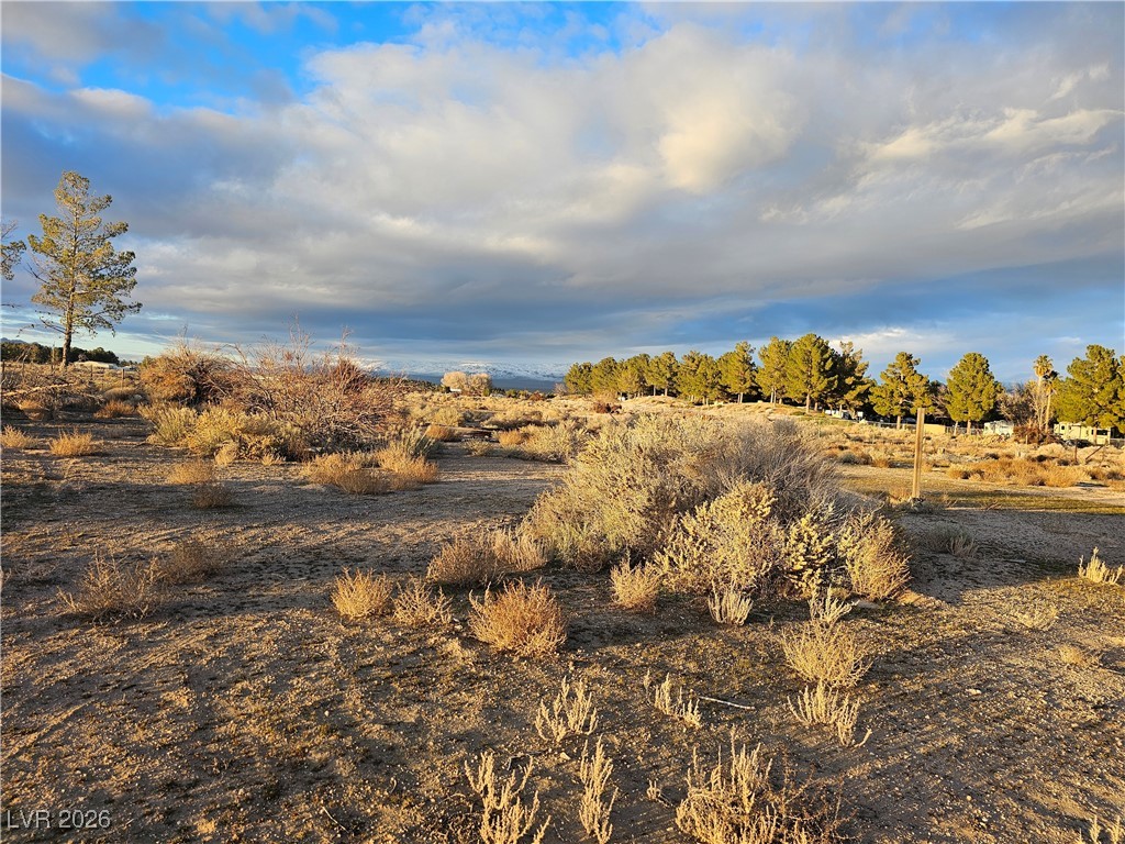 2710 Thousandaire Boulevard Pahrump NV 89048