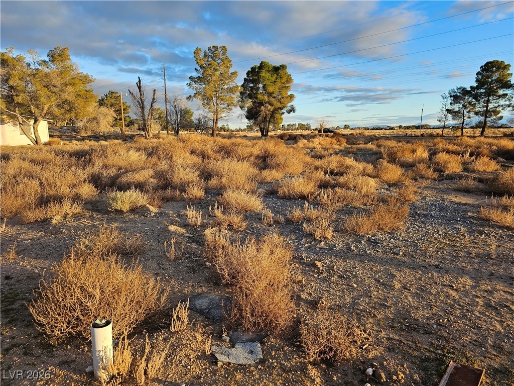 2710 Thousandaire Boulevard Pahrump NV 89048