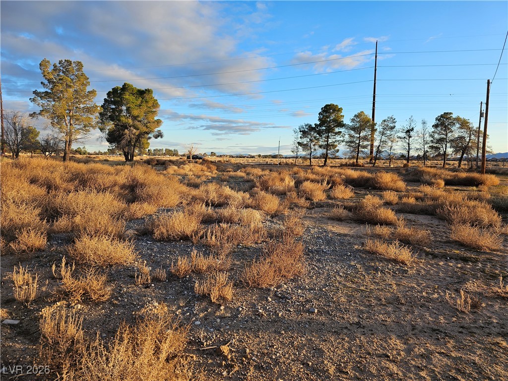 2710 Thousandaire Boulevard Pahrump NV 89048