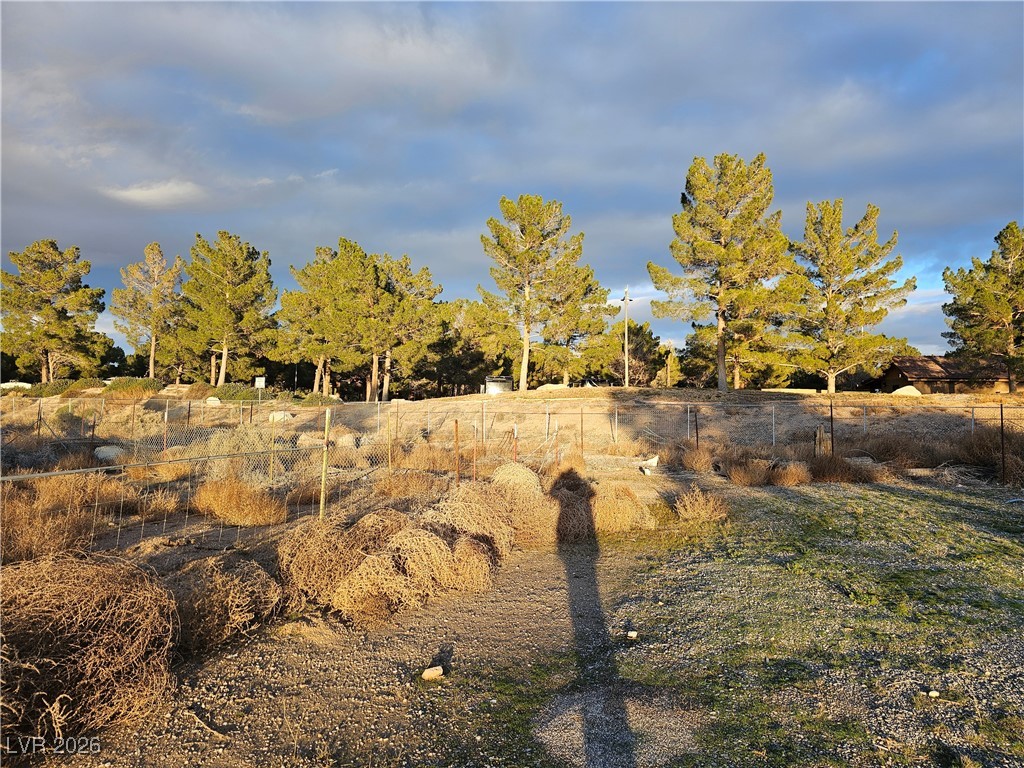 2710 Thousandaire Boulevard Pahrump NV 89048