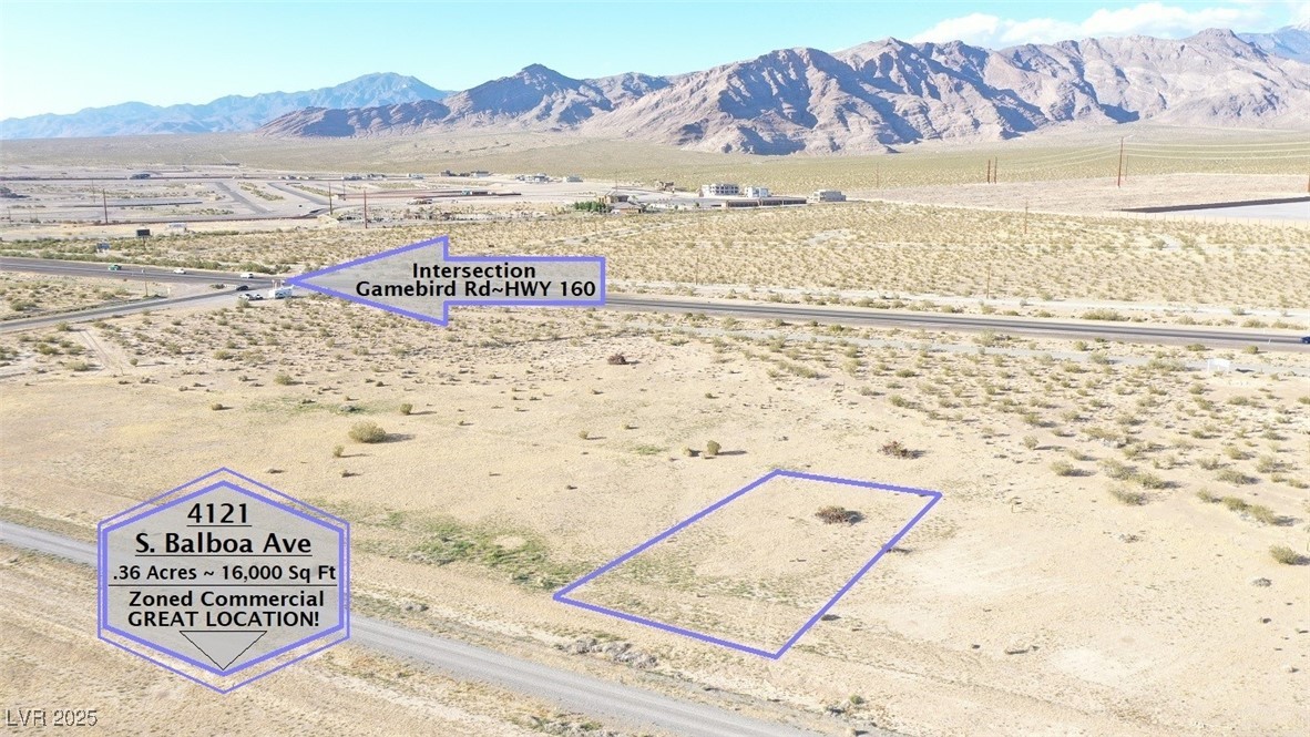 4121 South Balboa Avenue Pahrump NV 89048