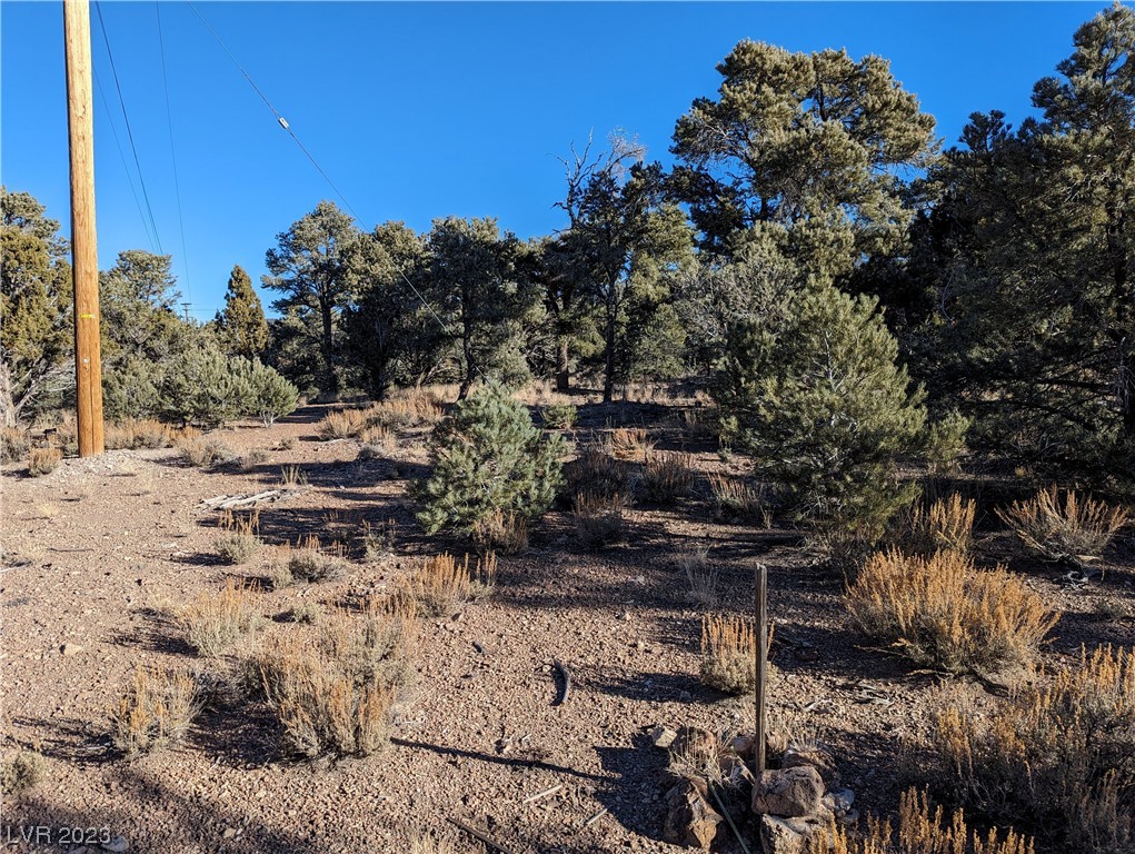 Windsong Pioche NV 89043