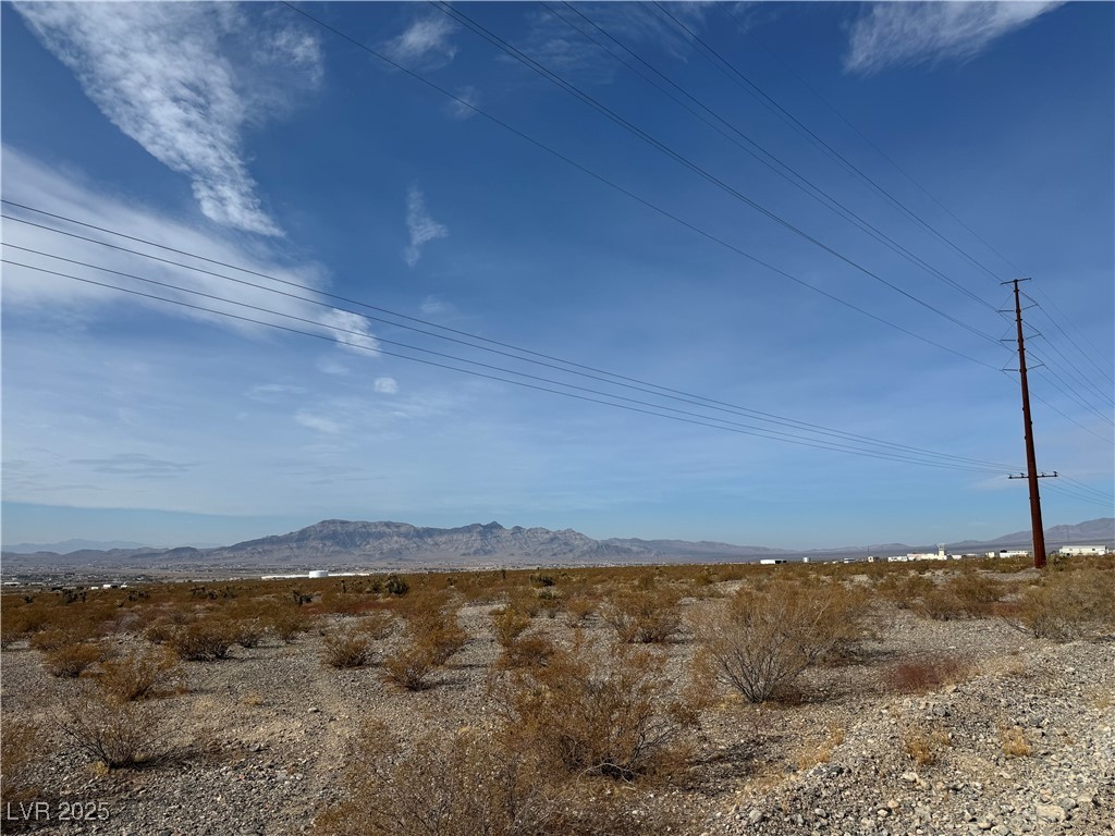 1610 North Higley Road Pahrump NV 89060