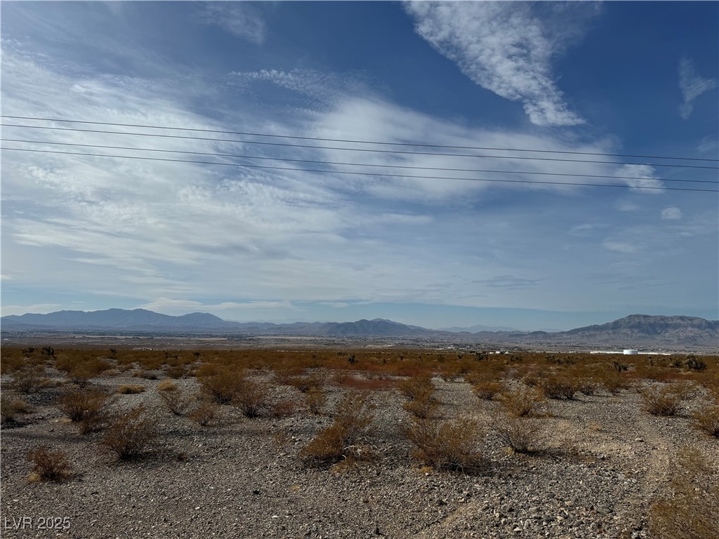 1610 North Higley Road Pahrump NV 89060