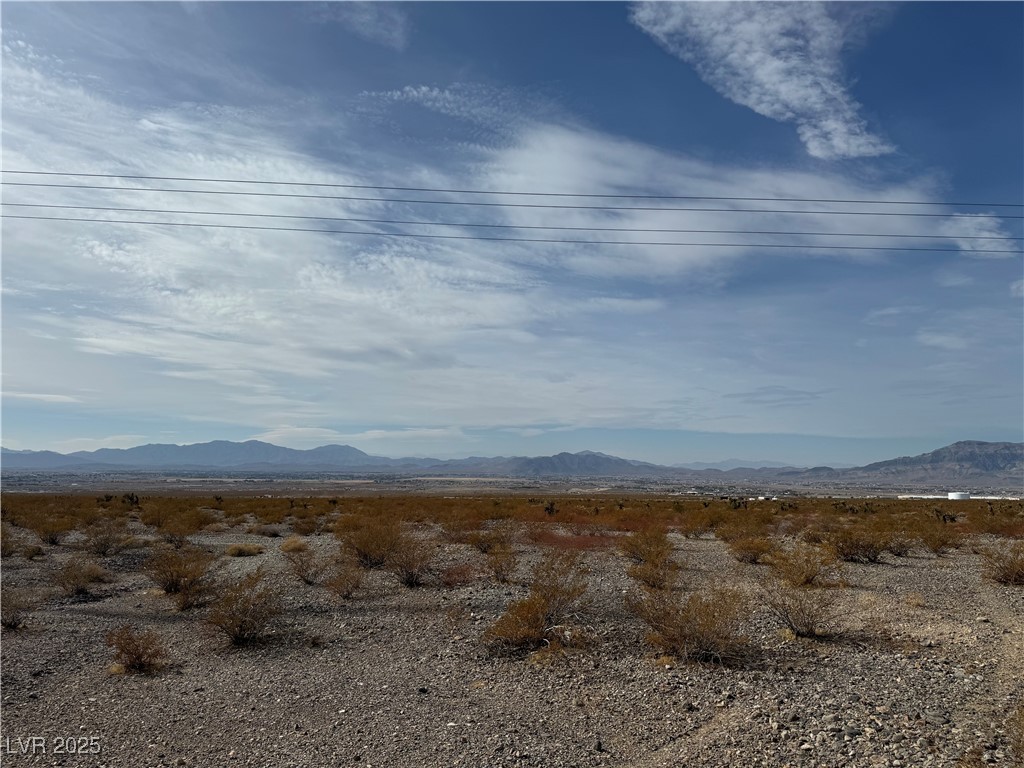 1610 North Higley Road Pahrump NV 89060